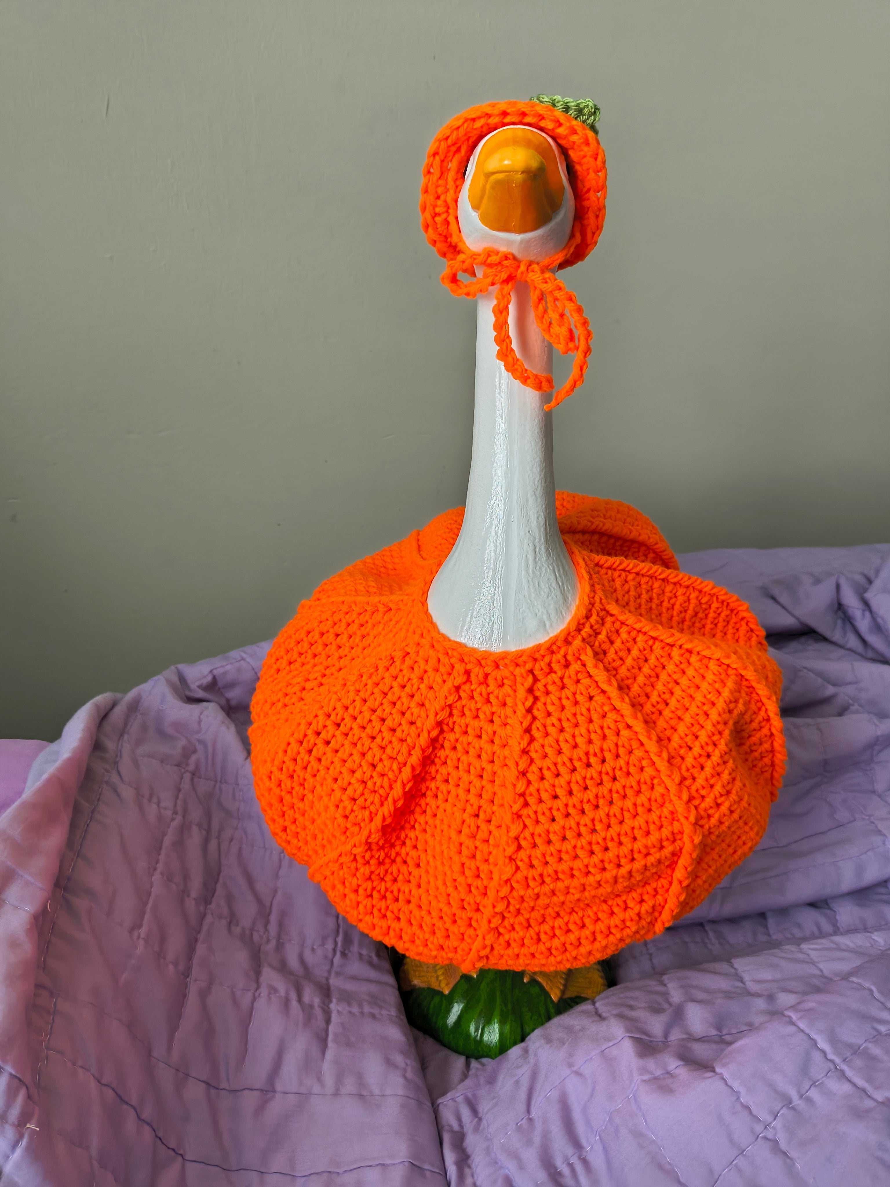 23" Handmade Crochet Porch Goose Pumpkin Costume Set