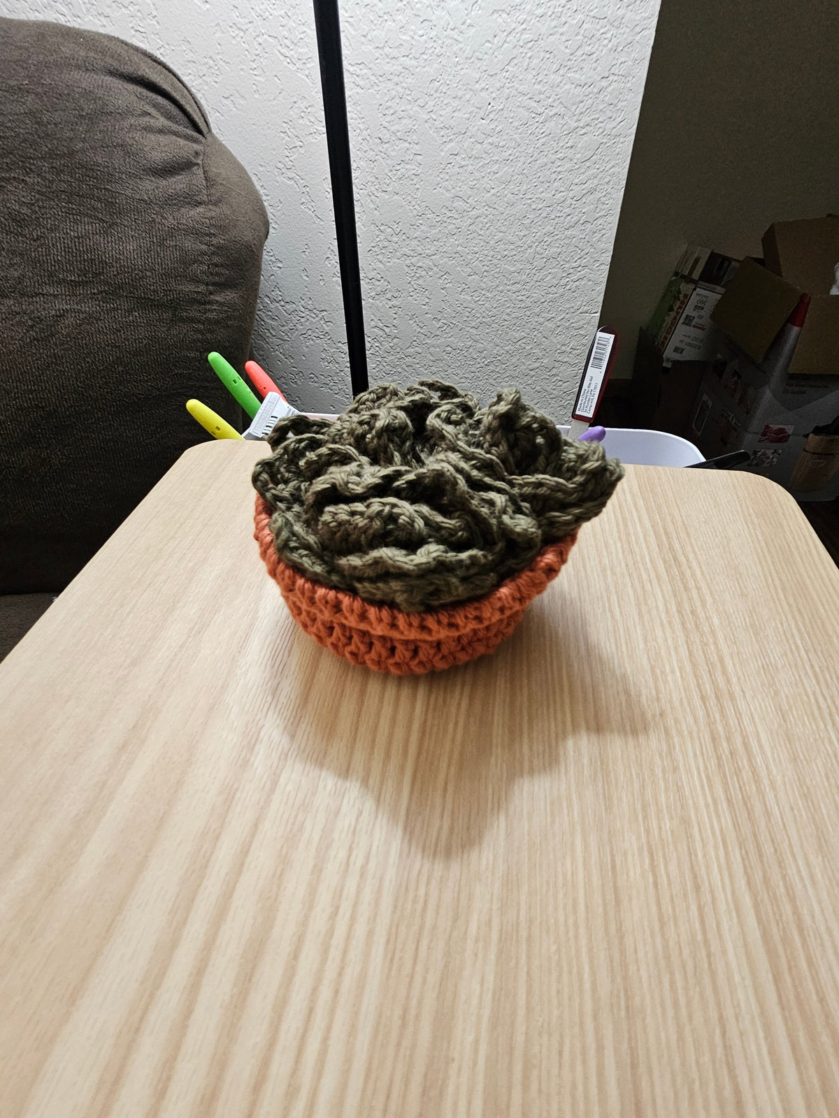 Crochet succulent coaster planter pot set displayed on table - lifestyle view
