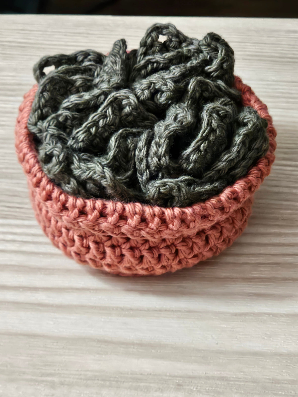 Crochet succulent coasters stored in terracotta planter pot - top view
