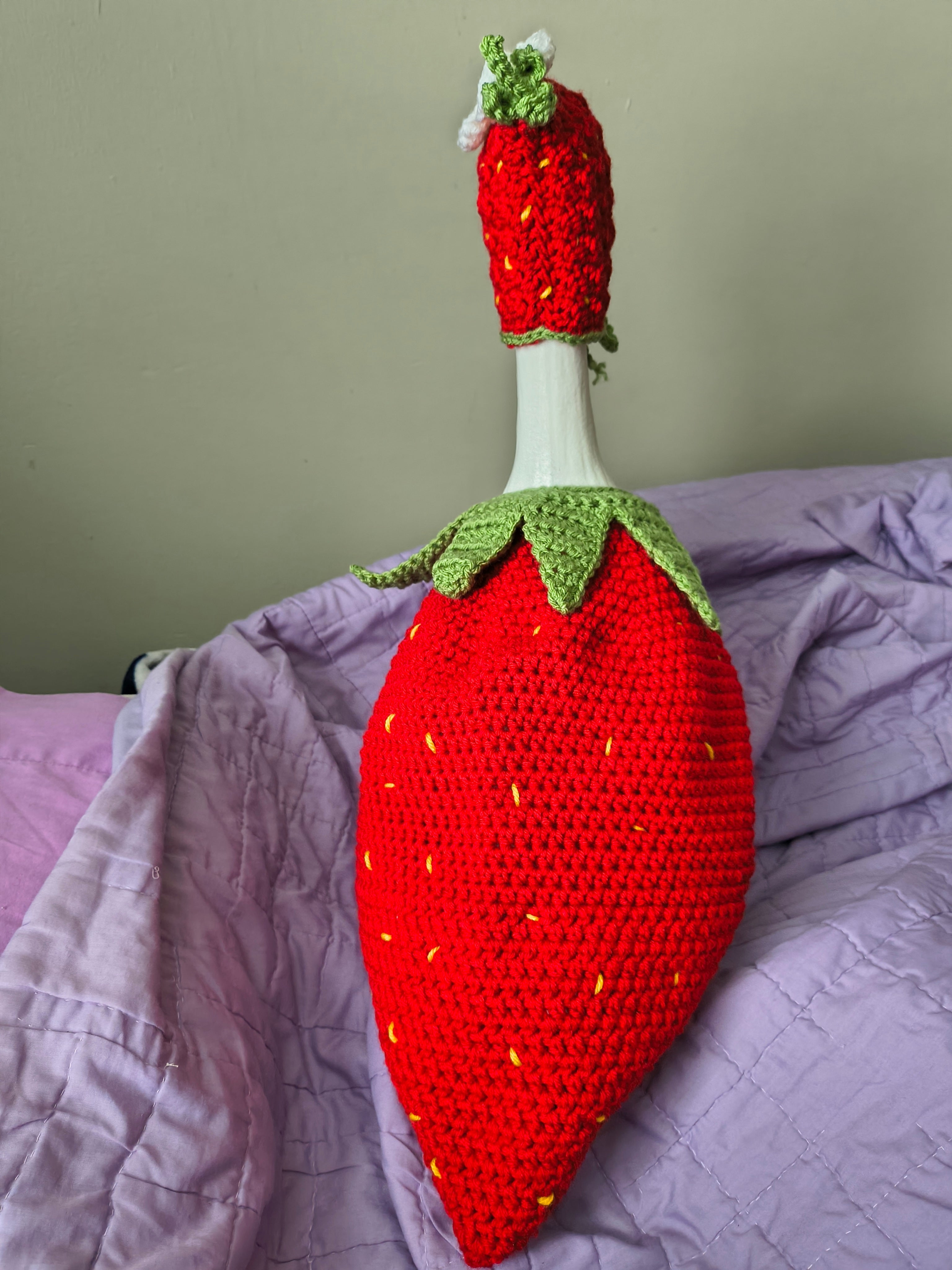 Porch Goose Strawberry Outfit Set (MADE TO ORDER)