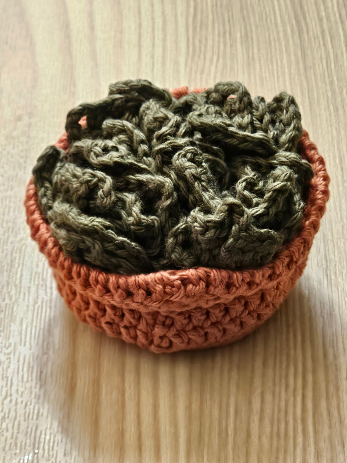 Crochet succulent coasters in terracotta planter pot - side angle view