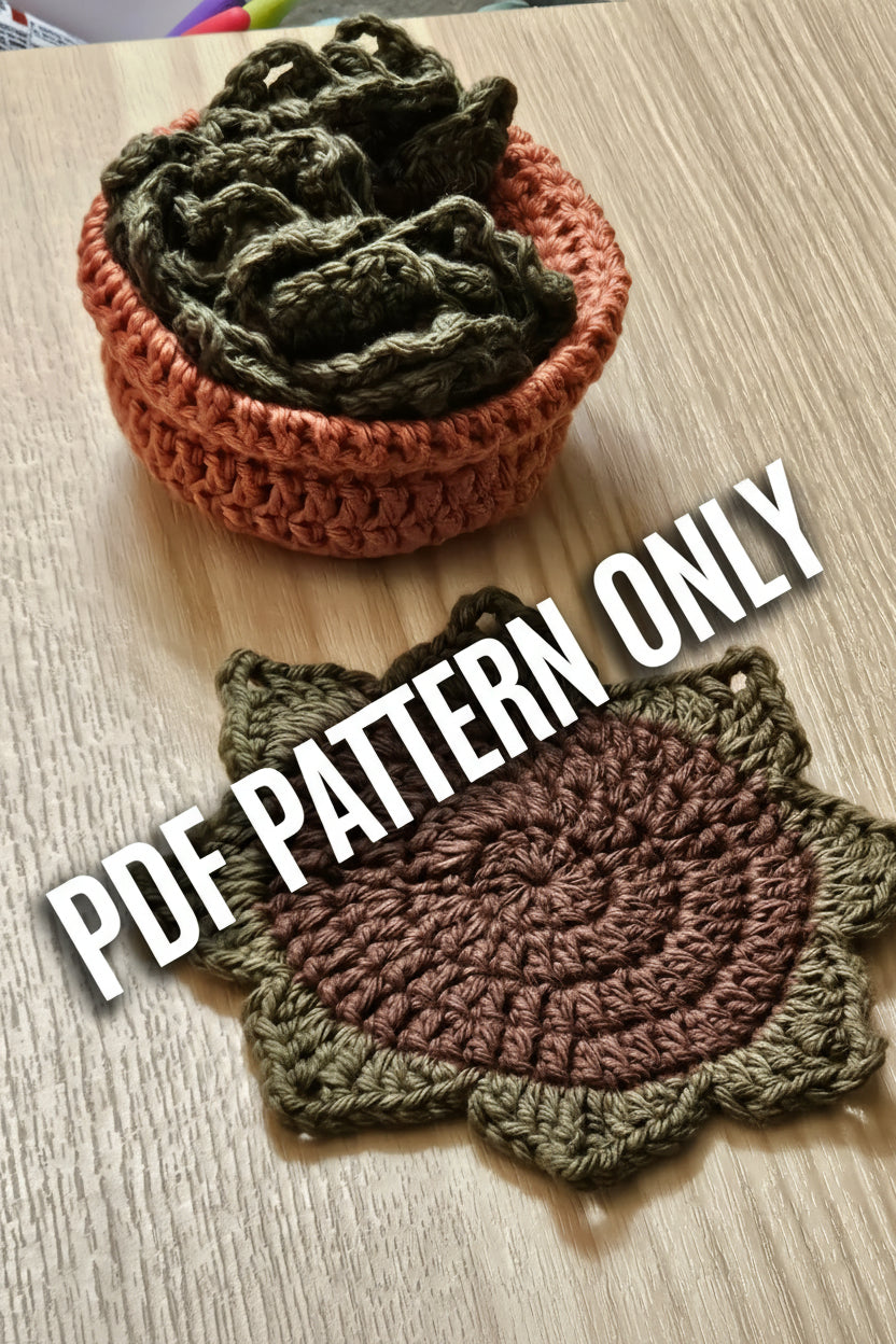 Crochet succulent coaster and terracotta planter pot set - overhead view showing coaster and basket
